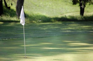 by alegri / 4freephotos.com